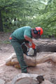 Click to see it big Ich mit Kettensäge, Impression aus dem Wald
